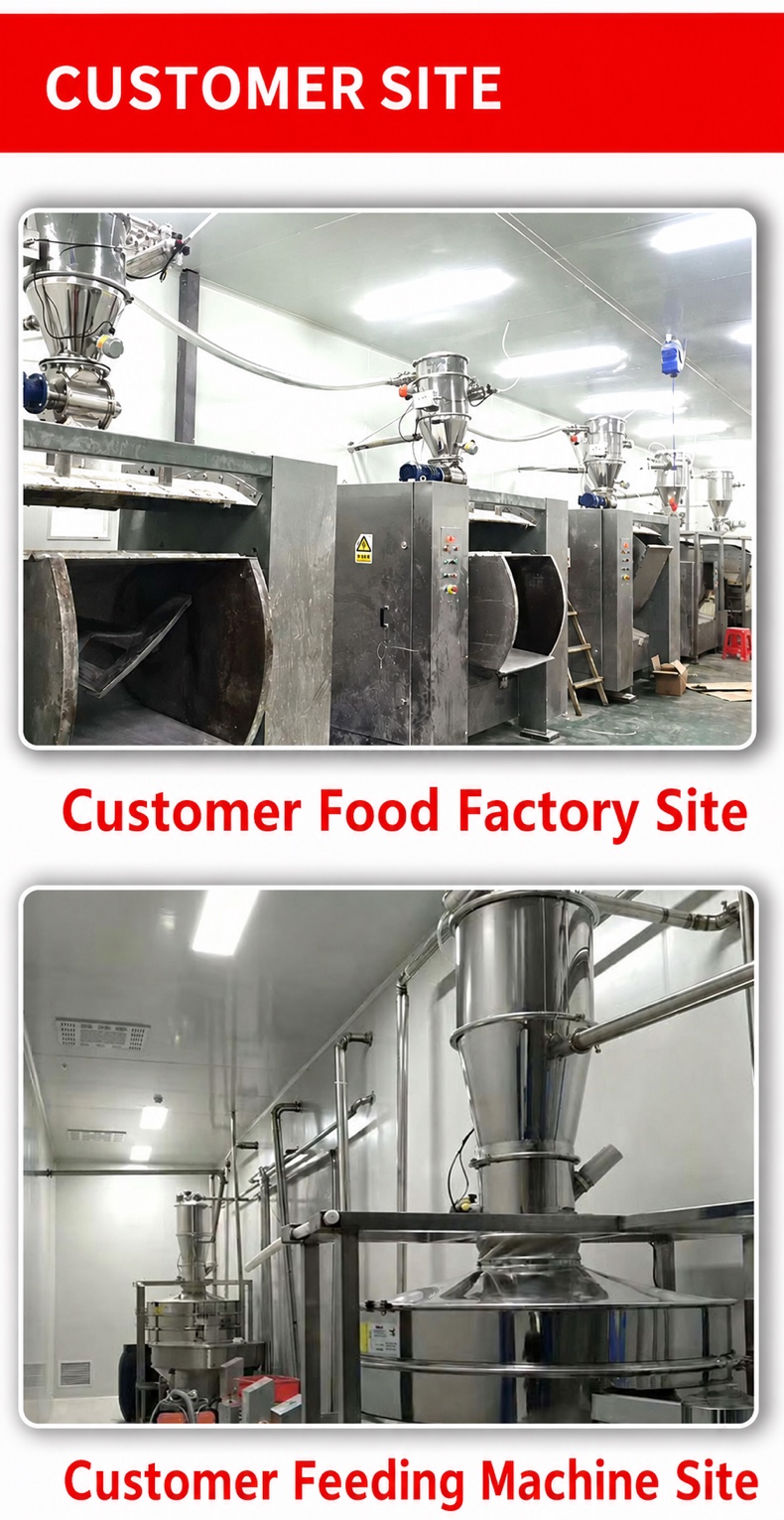 Continuous Vacuum Conveyor — 3